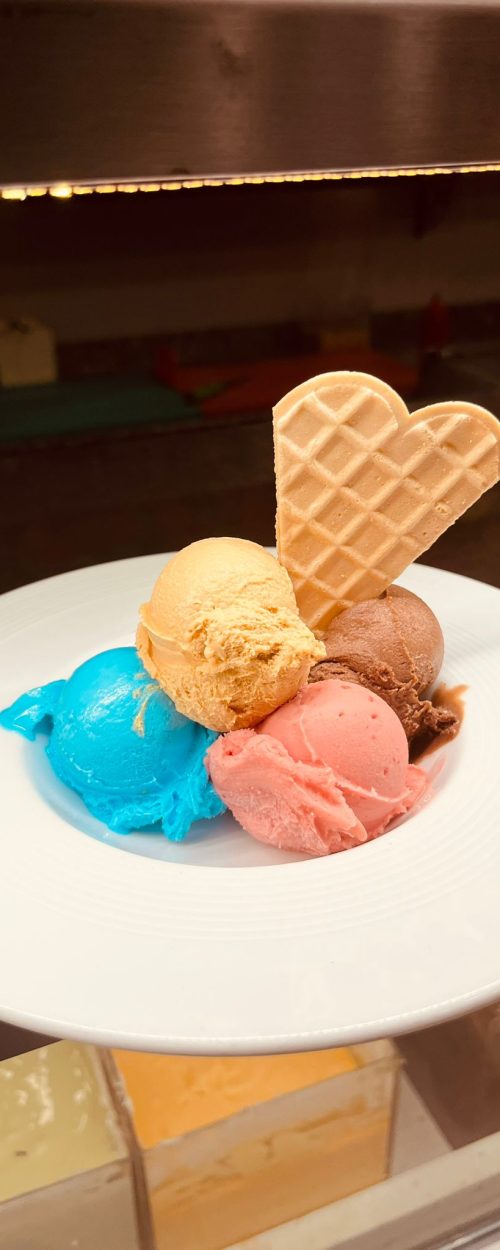 WhatsApp-Image-2023-03-29-at-16.57.51-1